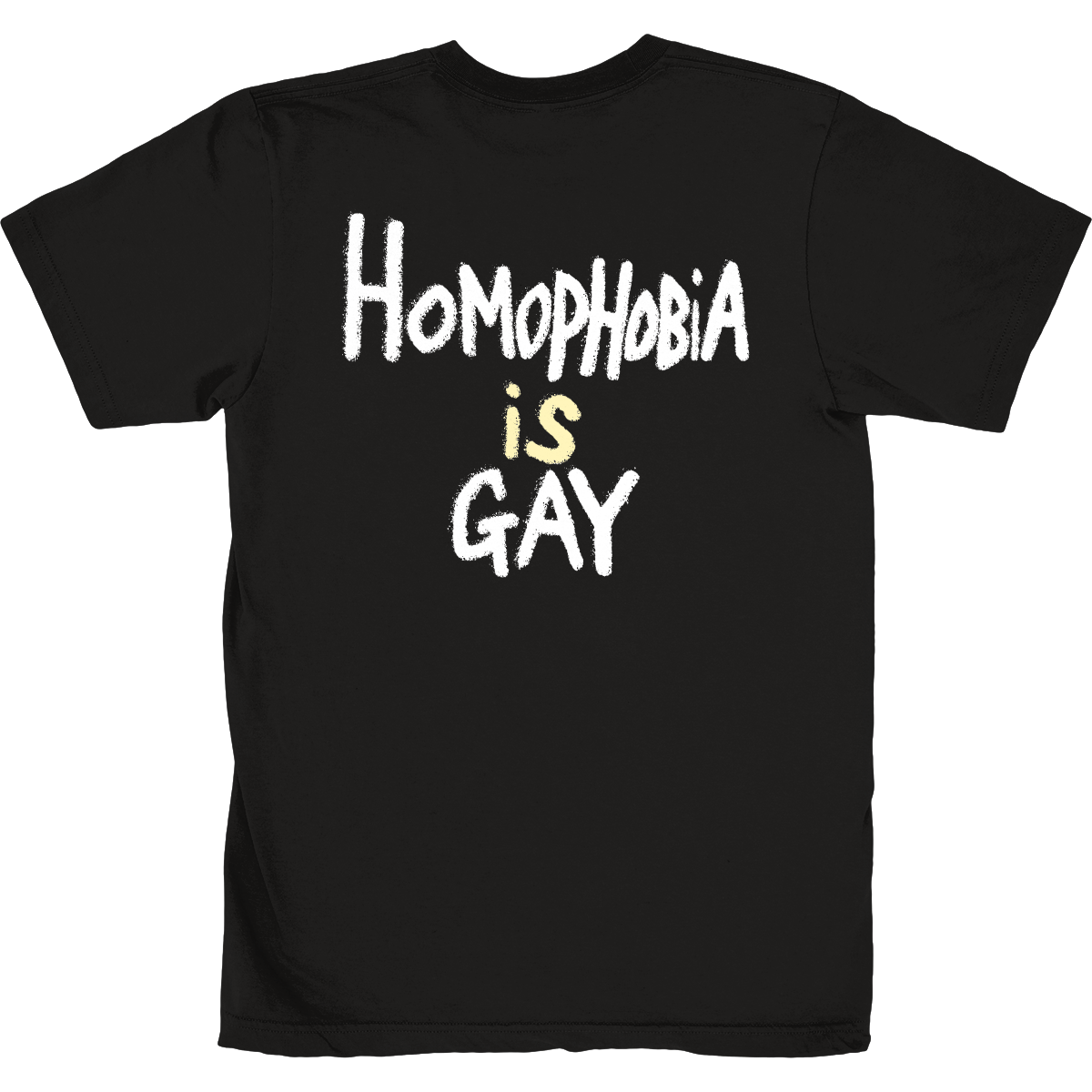 HOMOPHOBIA IS GAY TEE